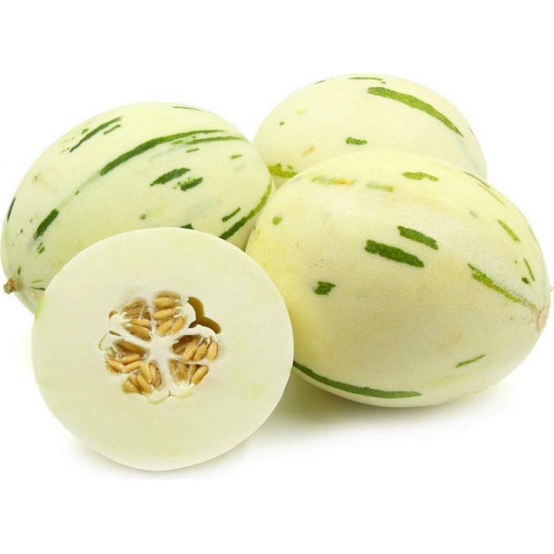 SNOW LEOPARD Melon Seeds - VERY RARE