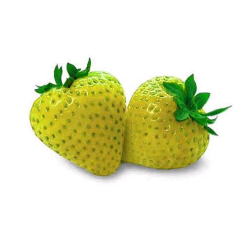 Strawberry Seeds Yellow Wonder