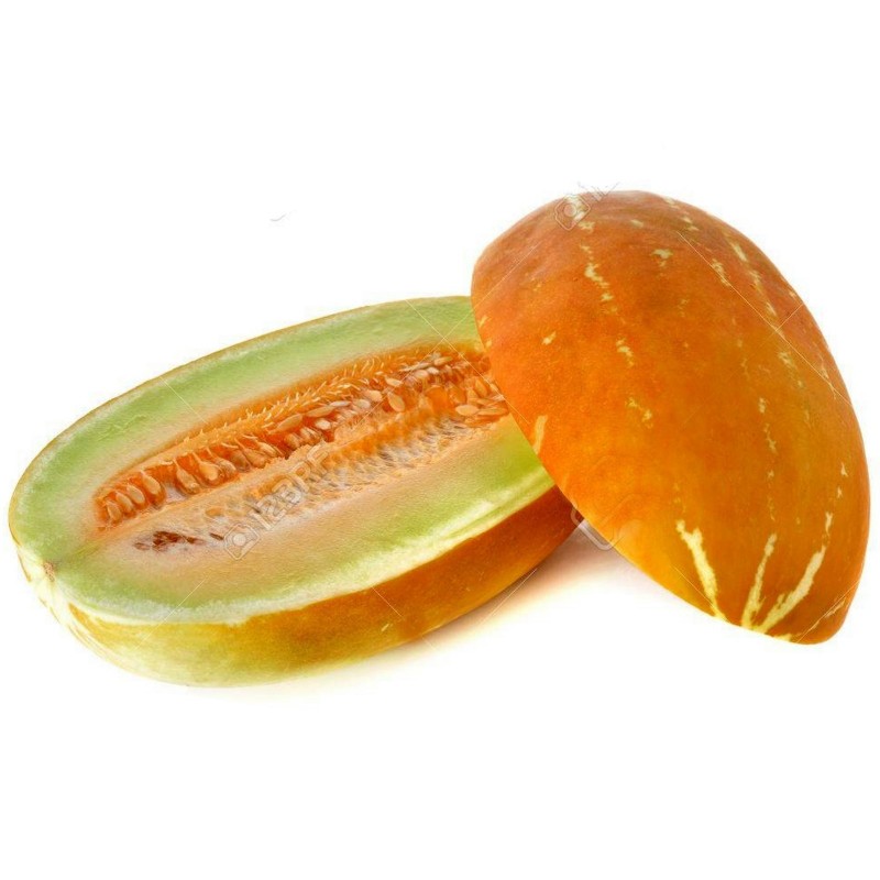 Sweet Thai Musk Melon Seeds