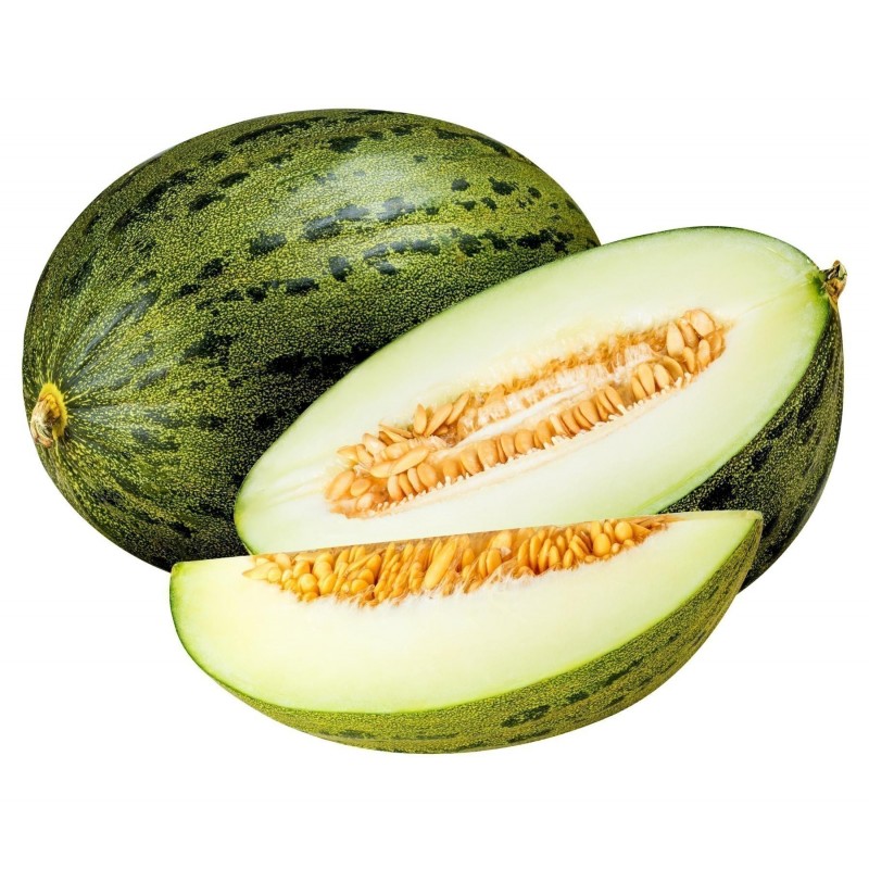 Piel de Sapo Melon Seeds (Cucumis melo)