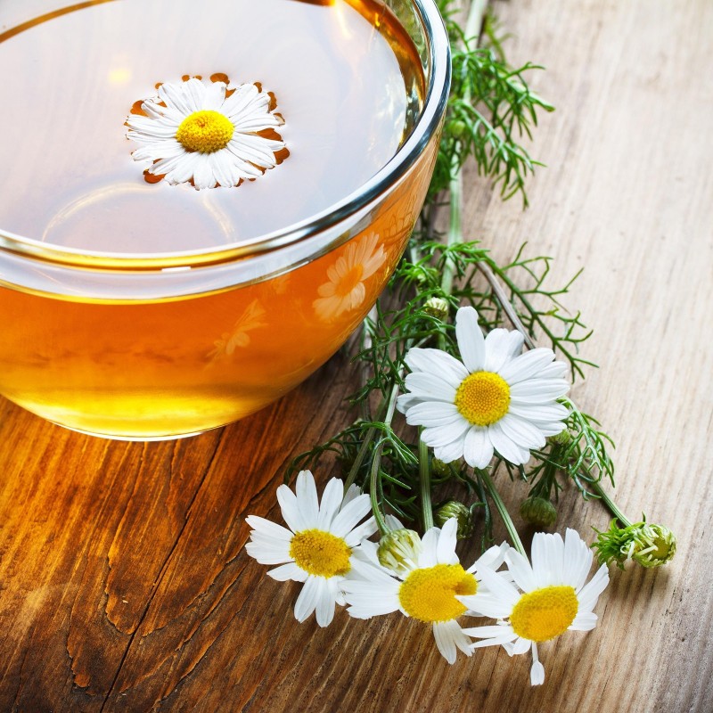 Chamomile seeds (Matricaria chamomilla)