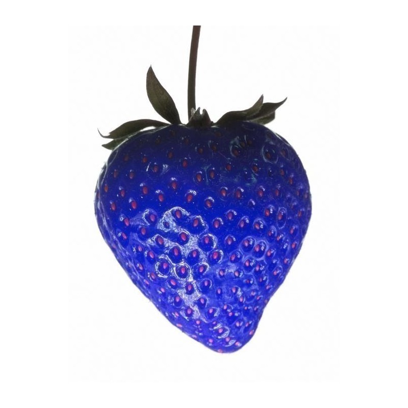 African Blue Strawberries Seeds