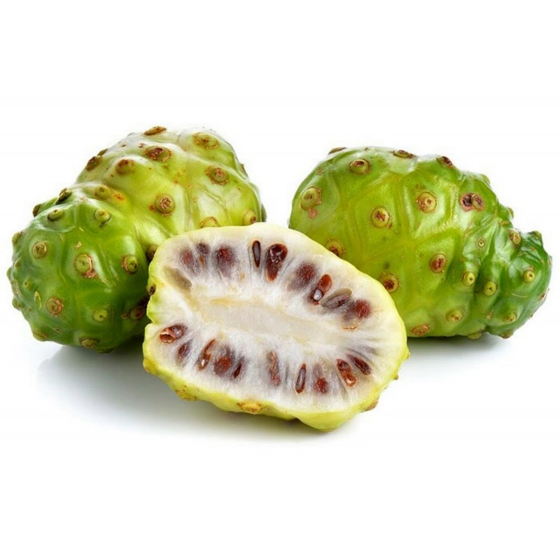 Noni Seeds (Morinda citrifolia, Rubiaceae)