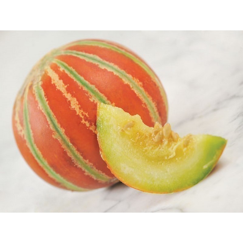 Rare Exclusive KAJARI Melon Seeds