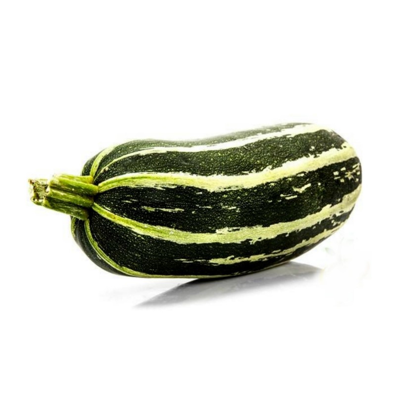 Marrow Long Green Bush Courgette Seeds