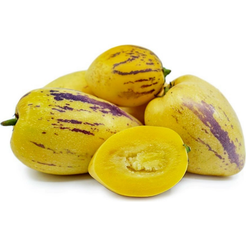 Pepino Dulce, Melon Pear Seeds (Solanum muricatum)