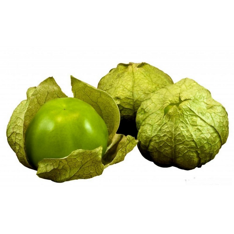 Tomatillo Seeds - Toma Verde (Physalis ixocarpa)