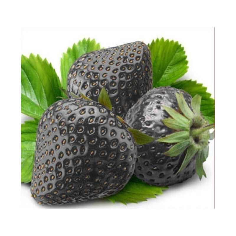 Black Strawberry Seeds - Exotic Rare