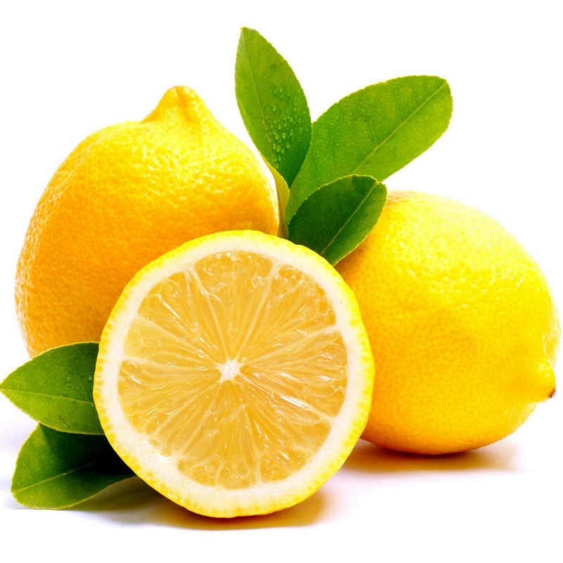 Lemon Seeds (C. × limon)