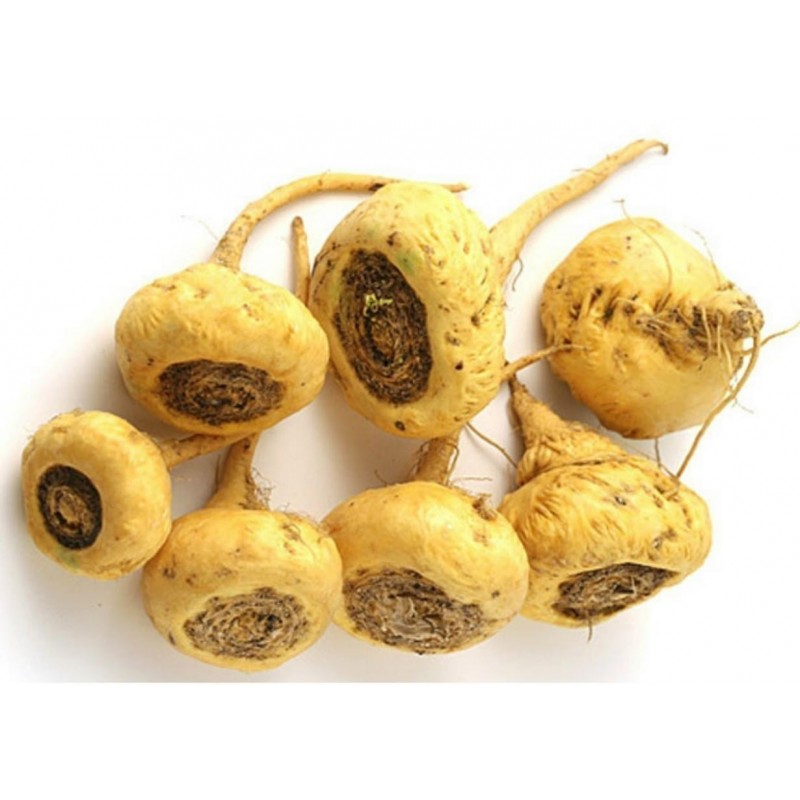 Maca Seeds (Lepidium meyenii)