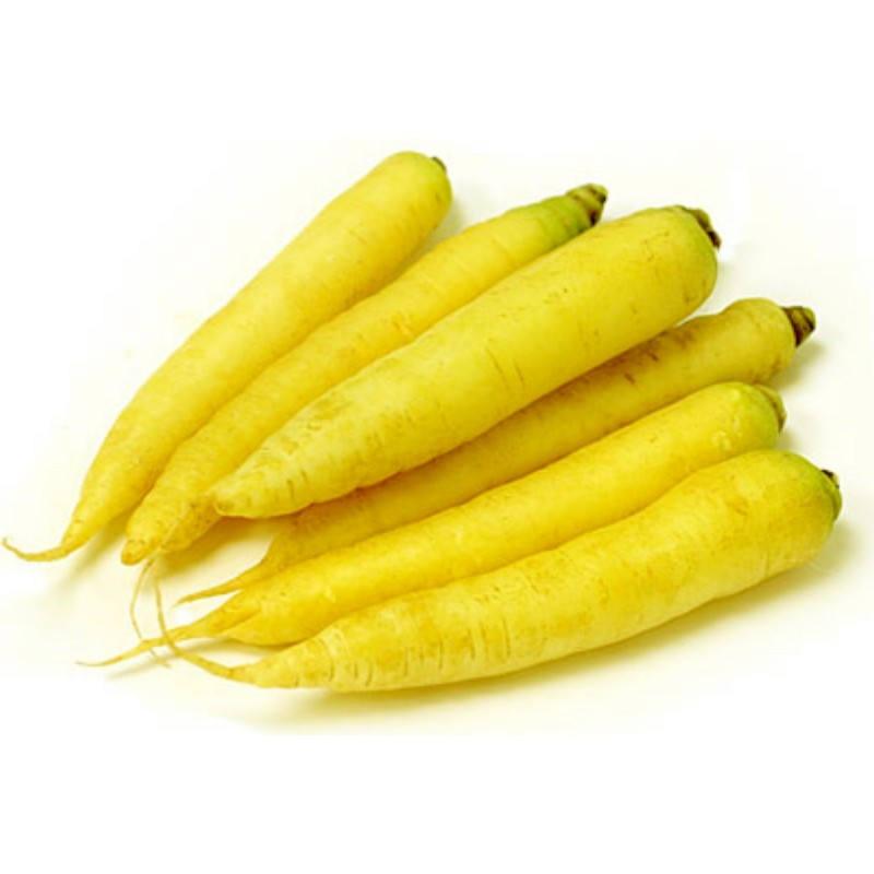 Solar Yellow Carrot 14000 Seeds