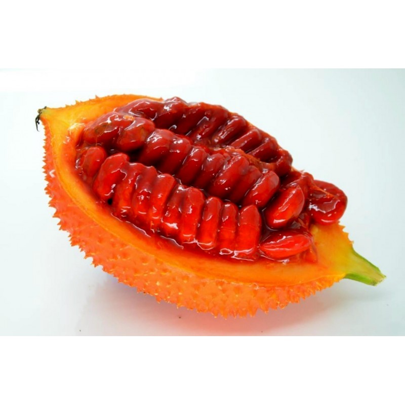 Gac Exotic Fruit Seeds (Momordica cochinchinensis)