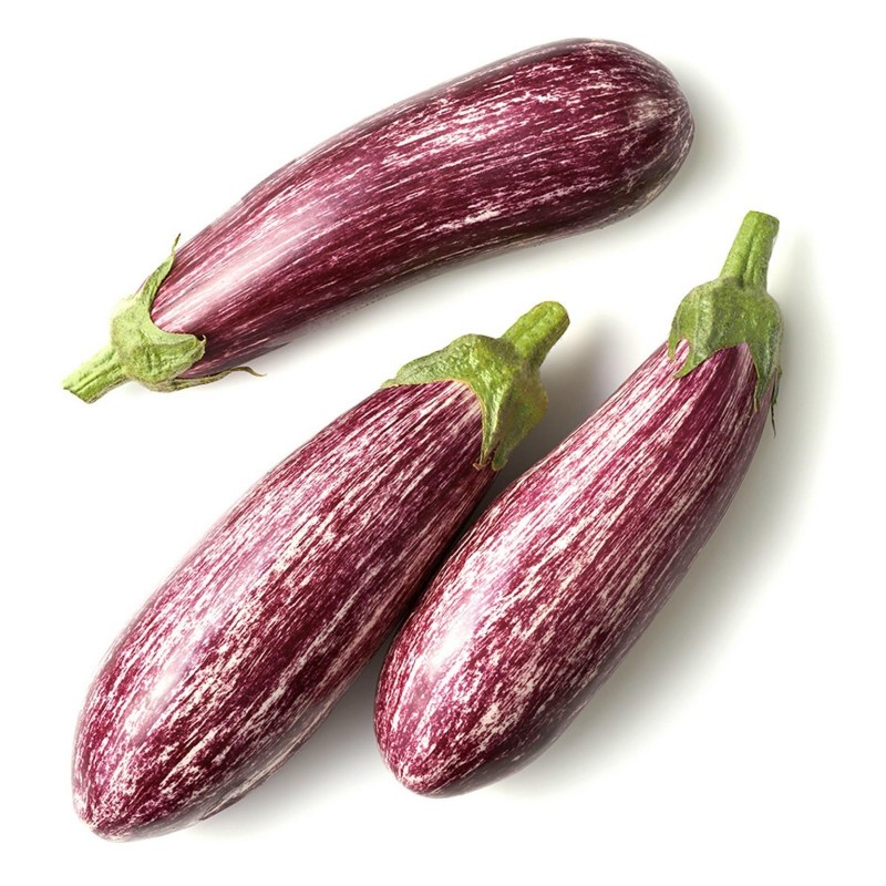 Greek Eggplant Seeds TSAKONIKI