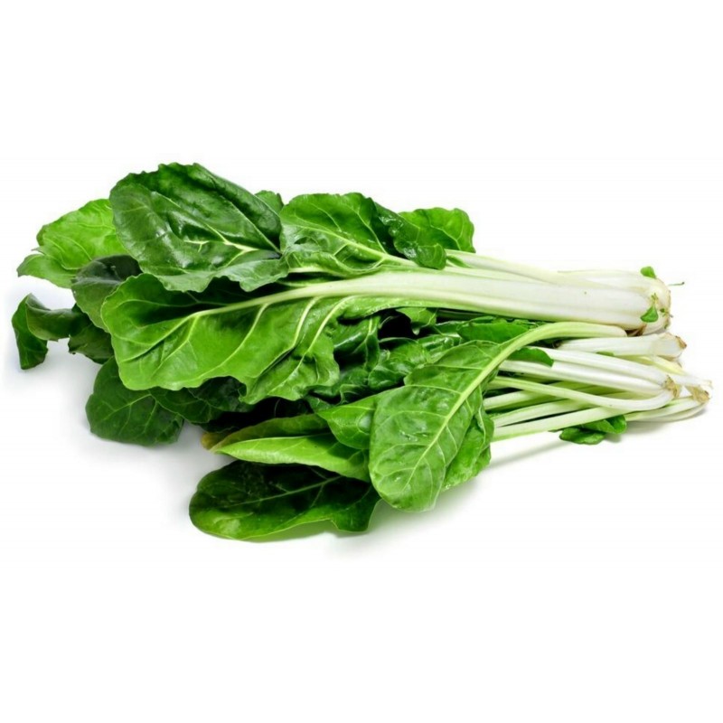 Swiss Chard Seeds White Silver