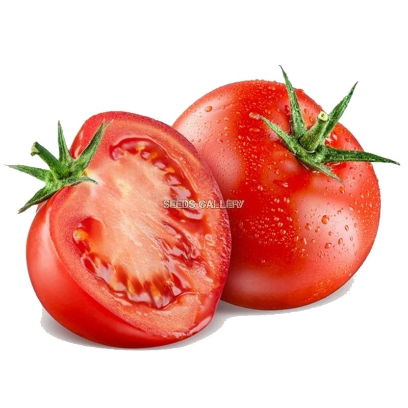 Tomato Novosadski Jabucar 50 seeds