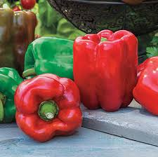 Red Giant Monster Sweet Pepper Seeds