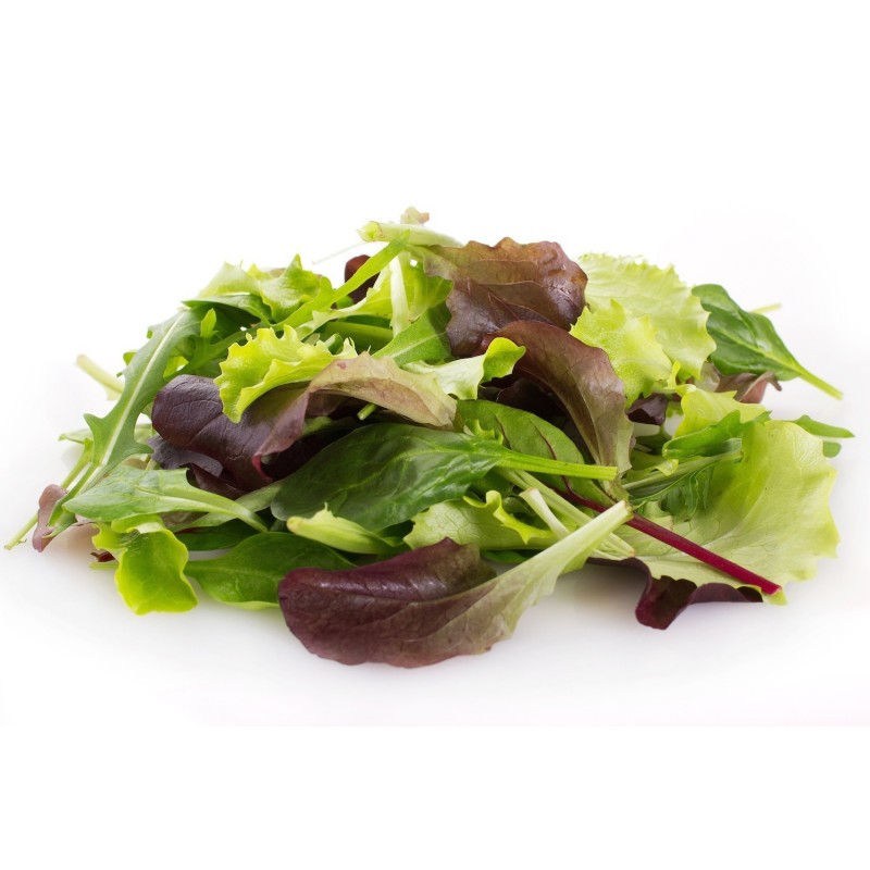 Mixture of Best Lettuce Seeds